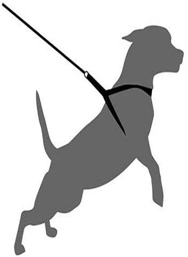 Pups&Pets Dog Belt Combo of 1 inch Royal Blue, Red Padded Dog Body Harness with Handle Blue Dog Leash, Adjustable Chest Size (Medium, Royal Blue, Red) - Image 3